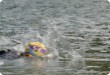Olympic Triathlon - 2007 - Jahr, als es mehr als 30 war. (C) in Schatten und ein Block des Eises... Olympic Triathlon - 2007 - Jahr, als es mehr als 30 war. (C) in Schatten und ein Block des Eises...