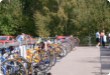 Olympic Triathlon - 2004 - Krušnoman ist ein großartiger Partner und das Unternehmen Strom, ASTrans Lannutti. Zum ersten Mal ist... Olympic Triathlon - 2004 - Krušnoman ist ein großartiger Partner und das Unternehmen Strom, ASTrans Lannutti. Zum ersten Mal ist...