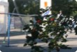 Olympic Triathlon - 2007 - Jahr, als es mehr als 30 war. (C) in Schatten und ein Block des Eises... Olympic Triathlon - 2007 - Jahr, als es mehr als 30 war. (C) in Schatten und ein Block des Eises...