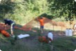 Olympic Triathlon - 2007 - Jahr, als es mehr als 30 war. (C) in Schatten und ein Block des Eises... Olympic Triathlon - 2007 - Jahr, als es mehr als 30 war. (C) in Schatten und ein Block des Eises...