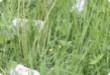 Long Distance Duathlon - 2007 - For the first time with Krušnoman Long Distance Duathlon reached beyond the borders of the... Long Distance Duathlon - 2007 - For the first time with Krušnoman Long Distance Duathlon reached beyond the borders of the...