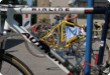 Olympic Triathlon - 2007 - Jahr, als es mehr als 30 war. (C) in Schatten und ein Block des Eises...