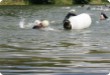 Olympic Triathlon - 2007 - Jahr, als es mehr als 30 war. (C) in Schatten und ein Block des Eises... Olympic Triathlon - 2007 - Jahr, als es mehr als 30 war. (C) in Schatten und ein Block des Eises...