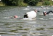Olympic Triathlon - 2007 - Jahr, als es mehr als 30 war. (C) in Schatten und ein Block des Eises... Olympic Triathlon - 2007 - Jahr, als es mehr als 30 war. (C) in Schatten und ein Block des Eises...