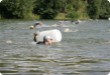 Olympic Triathlon - 2007 - Year, when it was over 30th. (C) in the shade and a block of ice...