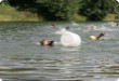 Olympic Triathlon - 2007 - Jahr, als es mehr als 30 war. (C) in Schatten und ein Block des Eises... Olympic Triathlon - 2007 - Jahr, als es mehr als 30 war. (C) in Schatten und ein Block des Eises...
