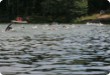 Olympic Triathlon - 2007 - Jahr, als es mehr als 30 war. (C) in Schatten und ein Block des Eises... Olympic Triathlon - 2007 - Jahr, als es mehr als 30 war. (C) in Schatten und ein Block des Eises...