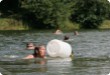 Olympic Triathlon - 2007 - Jahr, als es mehr als 30 war. (C) in Schatten und ein Block des Eises... Olympic Triathlon - 2007 - Jahr, als es mehr als 30 war. (C) in Schatten und ein Block des Eises...