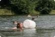 Olympic Triathlon - 2007 - Year, when it was over 30th. (C) in the shade and a block of ice...