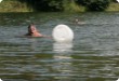 Olympic Triathlon - 2007 - Year, when it was over 30th. (C) in the shade and a block of ice...