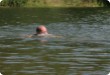 Olympic Triathlon - 2007 - Jahr, als es mehr als 30 war. (C) in Schatten und ein Block des Eises... Olympic Triathlon - 2007 - Jahr, als es mehr als 30 war. (C) in Schatten und ein Block des Eises...