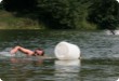 Olympic Triathlon - 2007 - Jahr, als es mehr als 30 war. (C) in Schatten und ein Block des Eises... Olympic Triathlon - 2007 - Jahr, als es mehr als 30 war. (C) in Schatten und ein Block des Eises...