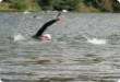 Olympic Triathlon - 2007 - Jahr, als es mehr als 30 war. (C) in Schatten und ein Block des Eises... Olympic Triathlon - 2007 - Jahr, als es mehr als 30 war. (C) in Schatten und ein Block des Eises...
