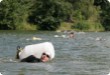 Olympic Triathlon - 2007 - Jahr, als es mehr als 30 war. (C) in Schatten und ein Block des Eises... Olympic Triathlon - 2007 - Jahr, als es mehr als 30 war. (C) in Schatten und ein Block des Eises...