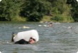 Olympic Triathlon - 2007 - Year, when it was over 30th. (C) in the shade and a block of ice...