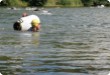 Olympic Triathlon - 2007 - Ročník, kdy bylo přes 30 st. C ve stínu a kostka ledu měla cenu zlata....