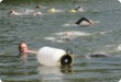 Olympic Triathlon - 2007 - Jahr, als es mehr als 30 war. (C) in Schatten und ein Block des Eises... Olympic Triathlon - 2007 - Jahr, als es mehr als 30 war. (C) in Schatten und ein Block des Eises...