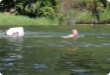 Olympic Triathlon - 2007 - Jahr, als es mehr als 30 war. (C) in Schatten und ein Block des Eises... Olympic Triathlon - 2007 - Jahr, als es mehr als 30 war. (C) in Schatten und ein Block des Eises...