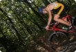 Olympic Triathlon - 2007 - Jahr, als es mehr als 30 war. (C) in Schatten und ein Block des Eises... Olympic Triathlon - 2007 - Jahr, als es mehr als 30 war. (C) in Schatten und ein Block des Eises...