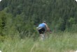Long Distance Duathlon - 2007 - For the first time with Krušnoman Long Distance Duathlon reached beyond the borders of the... Long Distance Duathlon - 2007 - For the first time with Krušnoman Long Distance Duathlon reached beyond the borders of the...