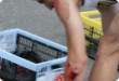 Long Distance Duathlon - 2007 - For the first time with Krušnoman Long Distance Duathlon reached beyond the borders of the... Long Distance Duathlon - 2007 - For the first time with Krušnoman Long Distance Duathlon reached beyond the borders of the...